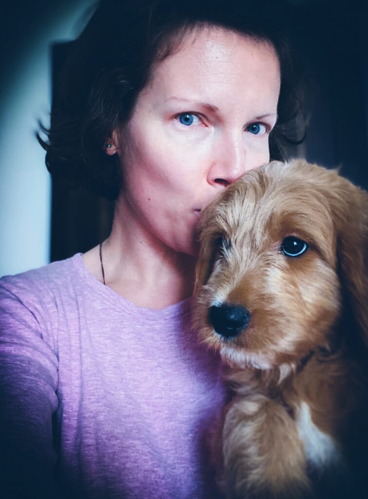 mini goldendoodle breeder